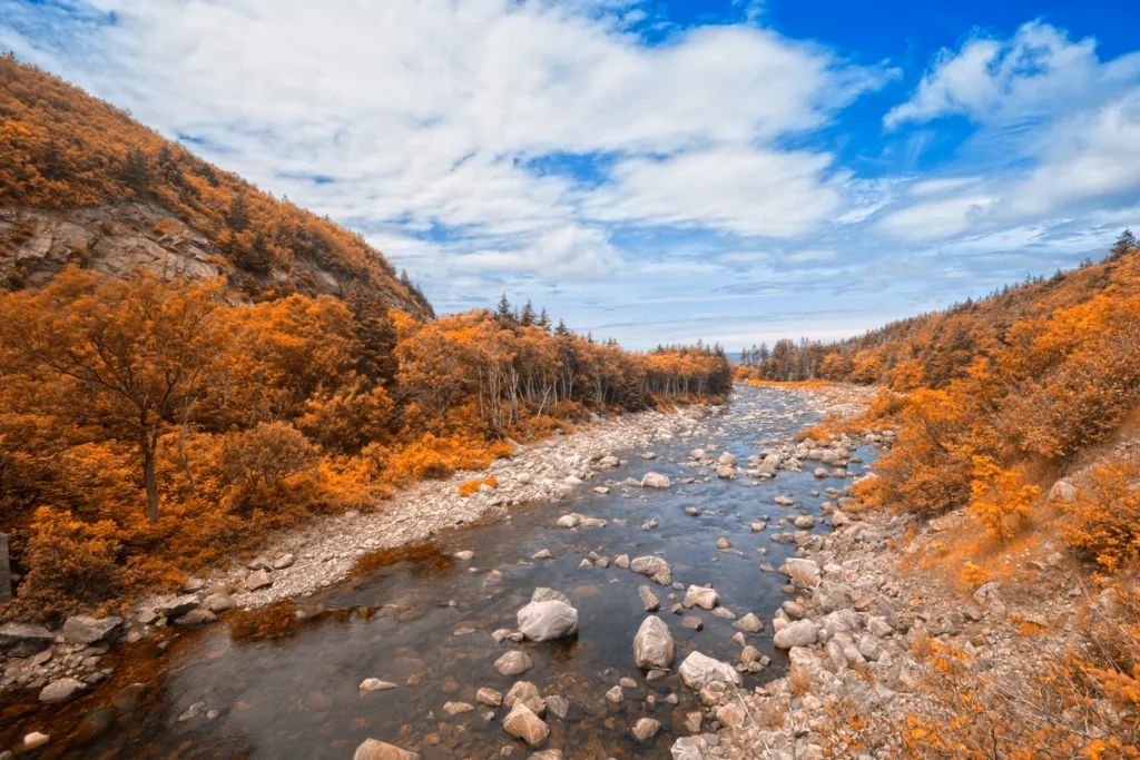 River valley framed by orange fall foliage along the Cabot Trail