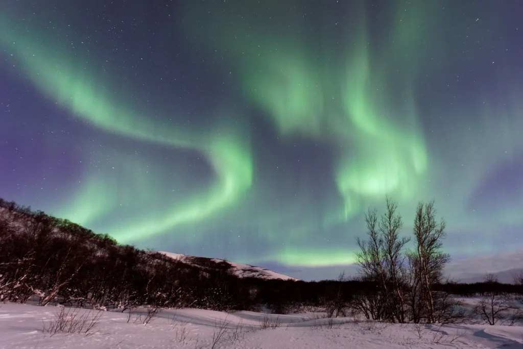 Green northern lights dancing over a snowy landscape in Iceland